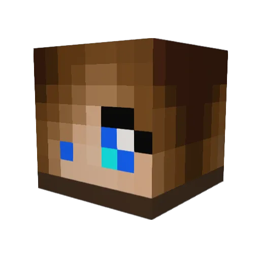 Chester_Racc Minecraft avatar head, 3D render