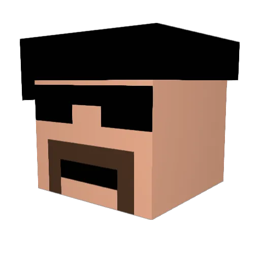 Chestercool1 Minecraft avatar head, 3D render