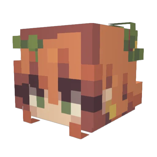 Chevelyn Minecraft avatar head, 3D render