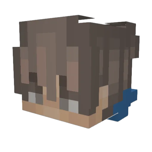 Chewbacca0805 Minecraft avatar head, 3D render