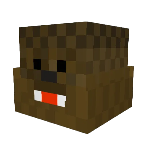 Chewbacca1907 Minecraft avatar head, 3D render