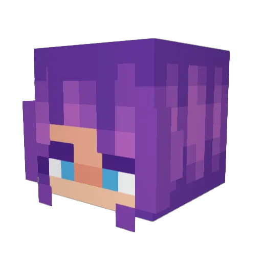 ChewbaccaDog11 Minecraft avatar head, 3D render