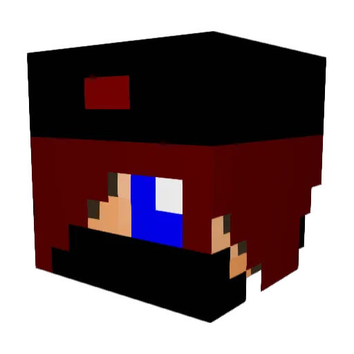 Chewbacca_6 Minecraft avatar head, 3D render