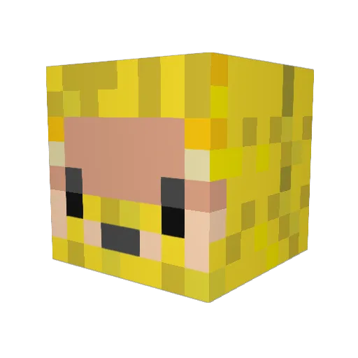 Chewbaka_ Minecraft avatar head, 3D render