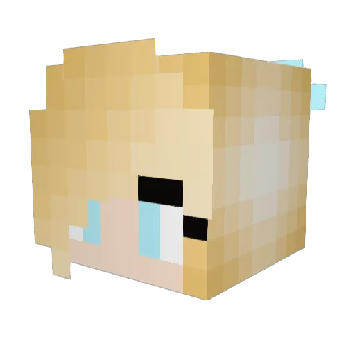 Chewbakas_Mom Minecraft avatar head, 3D render