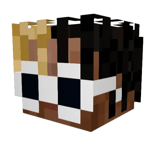 Chewbrocca Minecraft avatar head, 3D render