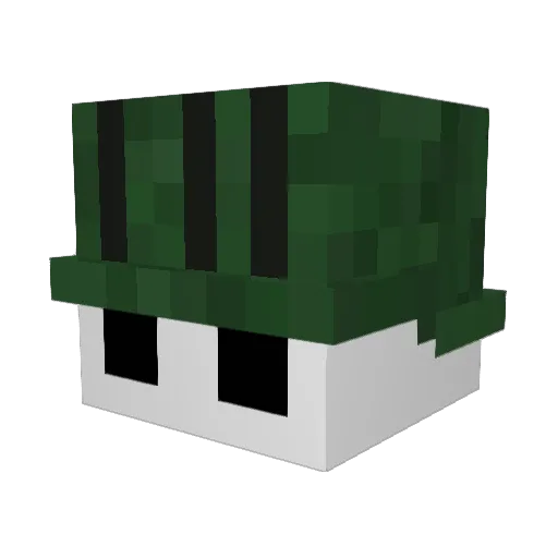 Chewie_97 Minecraft avatar head, 3D render