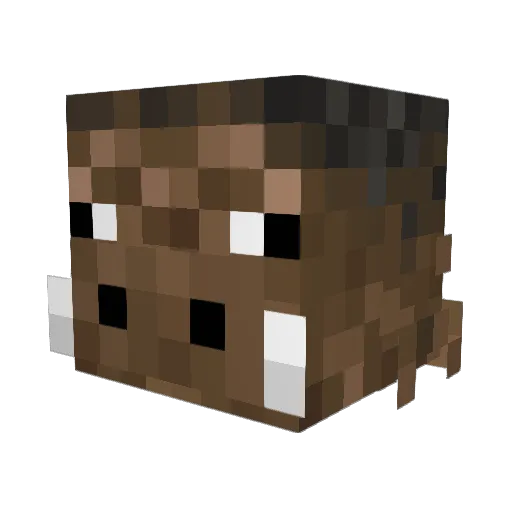 Chewie_Bacon Minecraft avatar head, 3D render