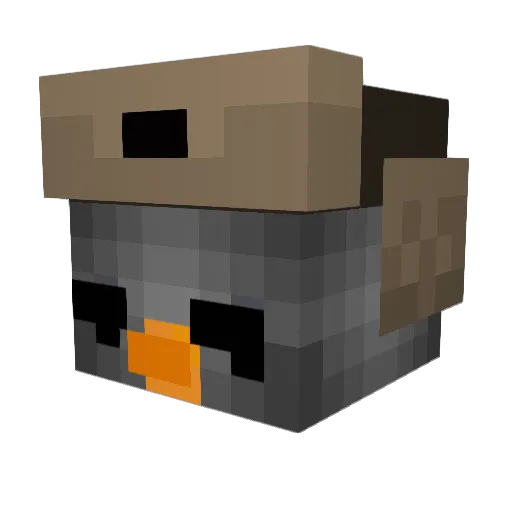 Chewwie35 Minecraft avatar head, 3D render