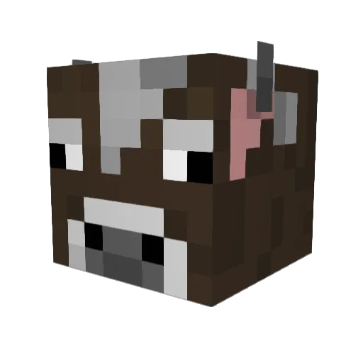 Chewy427 Minecraft avatar head, 3D render