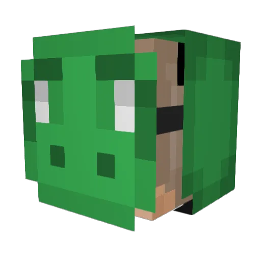 ChewyBar1234 Minecraft avatar head, 3D render