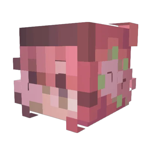 ChewyKat Minecraft avatar head, 3D render