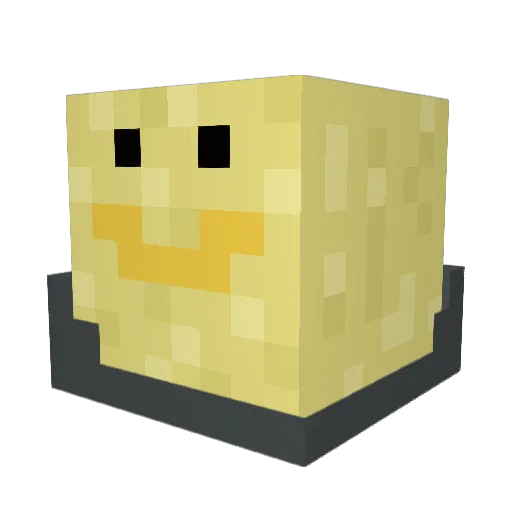 Chewy_The_cat4 Minecraft avatar head, 3D render