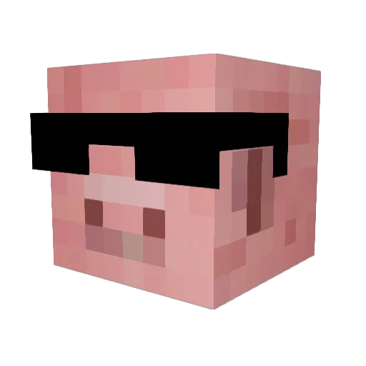 Chewy__Baca Minecraft avatar head, 3D render