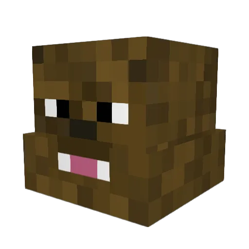 Chewybaca7706 Minecraft avatar head, 3D render