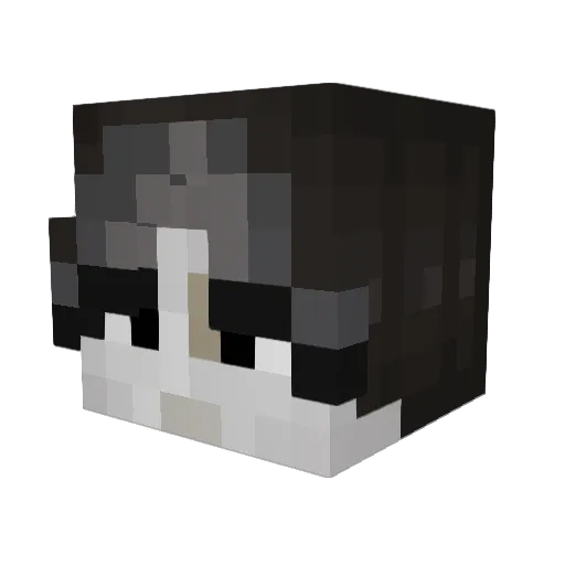 Chex_Mex_ Minecraft avatar head, 3D render