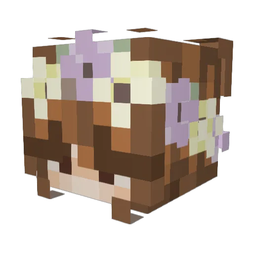 Cheyenne_047 Minecraft avatar head, 3D render