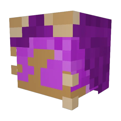 Chi_Chihuahua Minecraft avatar head, 3D render