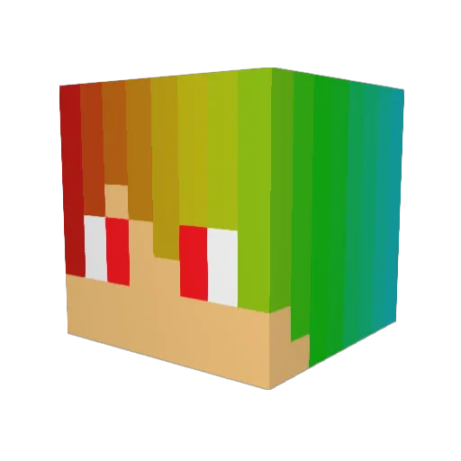 Chi_Fight Minecraft avatar head, 3D render