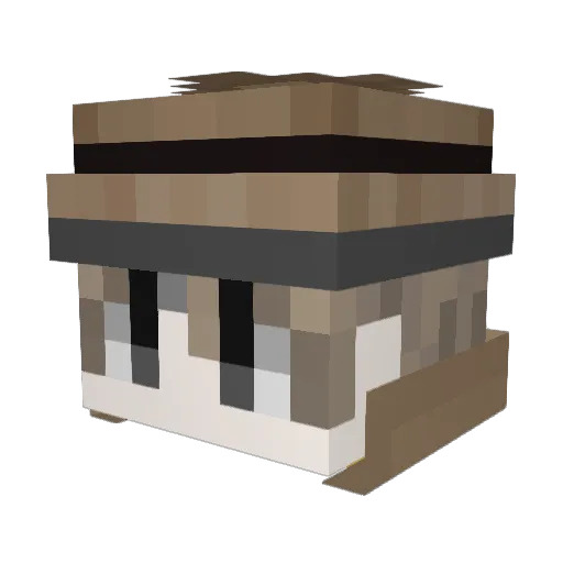 Chi_Niao Minecraft avatar head, 3D render