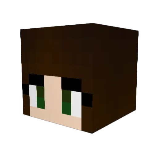 Chi_ch4n Minecraft avatar head, 3D render