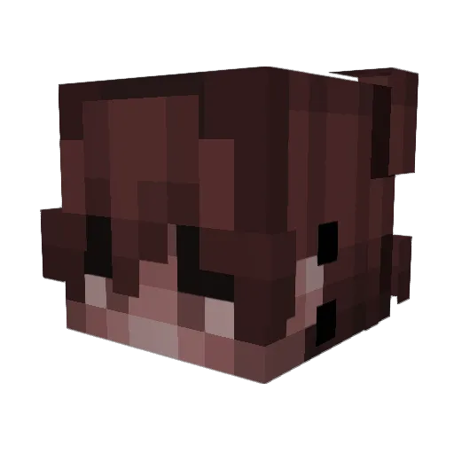Chianshi Minecraft avatar head, 3D render