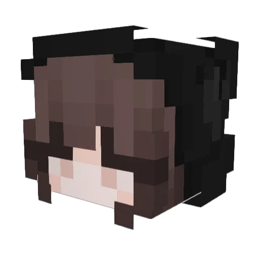 Chiaua Minecraft avatar head, 3D render