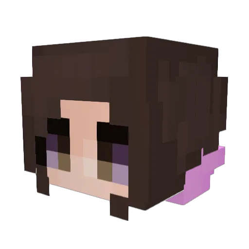 ChibiTotoro Minecraft avatar head, 3D render
