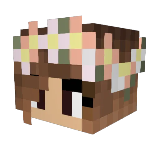 Chibi_Aussie Minecraft avatar head, 3D render