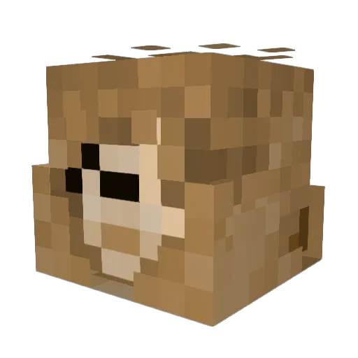 Chibikamemon Minecraft avatar head, 3D render