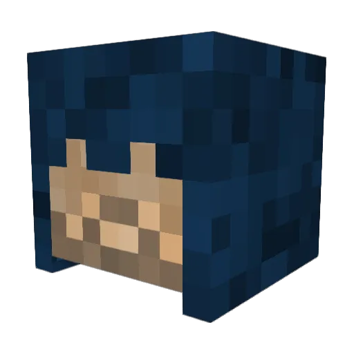 ChicSark8008 Minecraft avatar head, 3D render