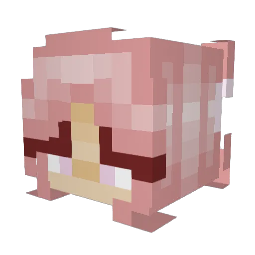 Chichuschicken Minecraft avatar head, 3D render
