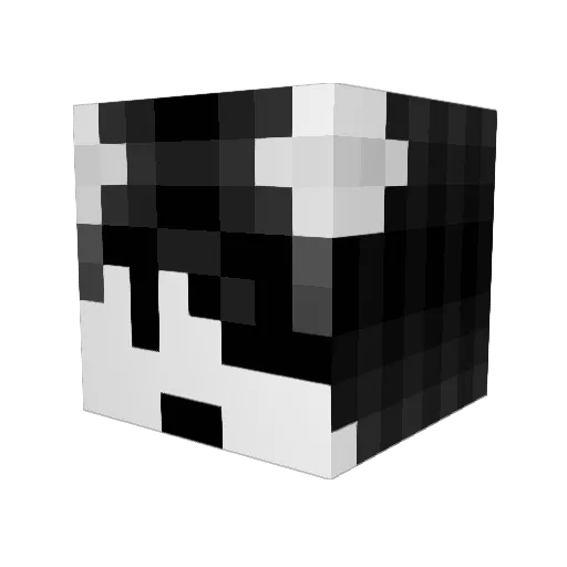 Chicken10_ Minecraft avatar head, 3D render