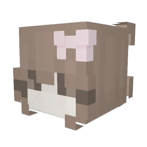 Chicken1Noodle Minecraft avatar head, 3D render