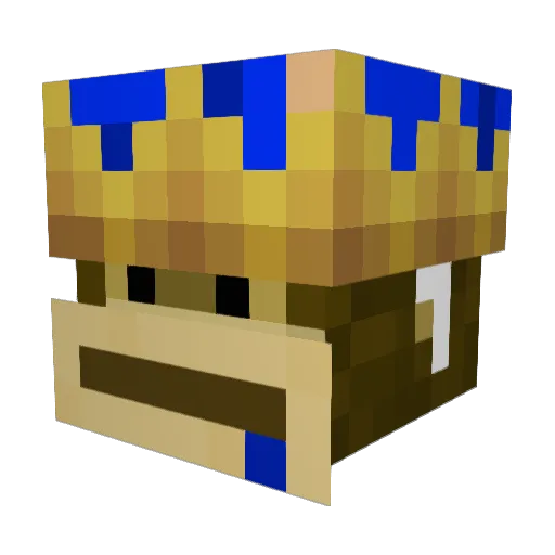 Chicken2408 Minecraft avatar head, 3D render