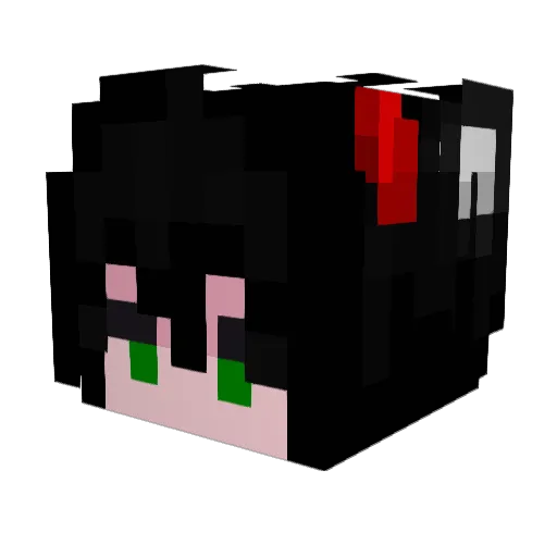 Chicken2764 Minecraft avatar head, 3D render