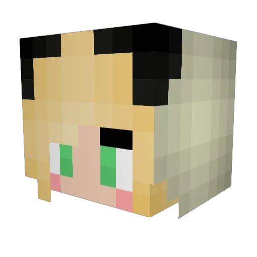 Chicken4Dayz Minecraft avatar head, 3D render