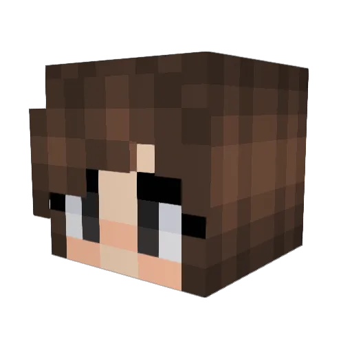 ChickenAvocado Minecraft avatar head, 3D render
