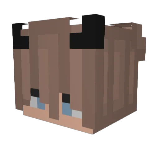 ChickenBurger13 Minecraft avatar head, 3D render