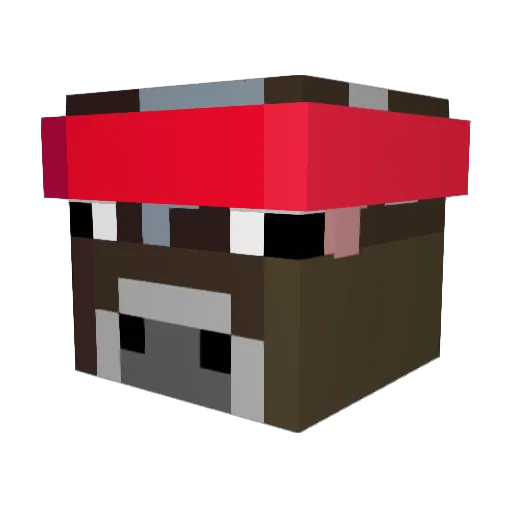 ChickenDonkey04 Minecraft avatar head, 3D render
