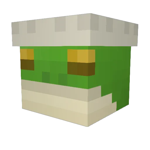 ChickenGrass21 Minecraft avatar head, 3D render