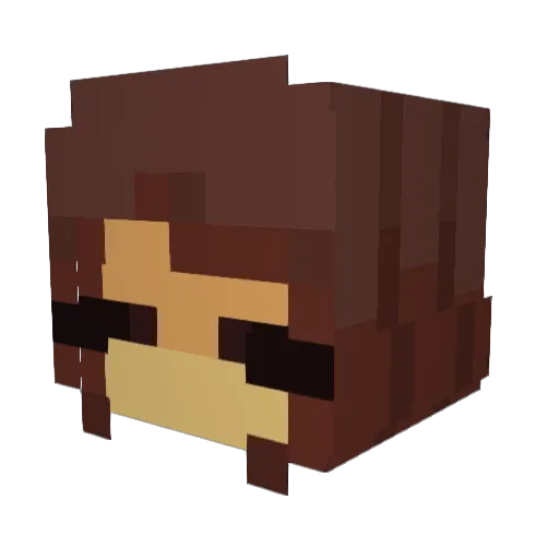 ChickenMaster05 Minecraft avatar head, 3D render