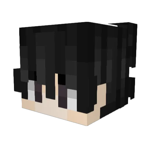 ChickenMaster900 Minecraft avatar head, 3D render