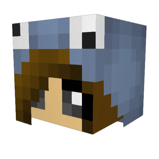ChickenNoodle360 Minecraft avatar head, 3D render