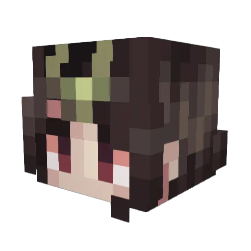 ChickenNugge21 Minecraft avatar head, 3D render