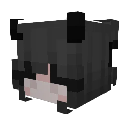 ChickenNuggetssx Minecraft avatar head, 3D render