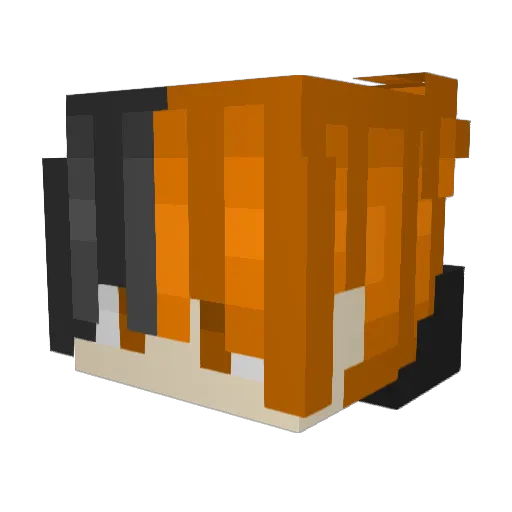 ChickenNuggy420 Minecraft avatar head, 3D render