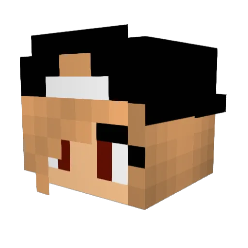 ChickenPotPie102 Minecraft avatar head, 3D render