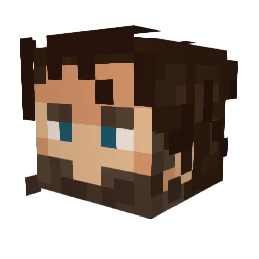 ChickenPotPie144 Minecraft avatar head, 3D render