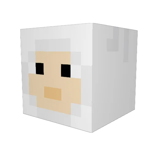 ChickenSpecial Minecraft avatar head, 3D render